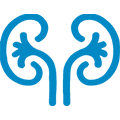 General imaging icon