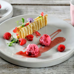 Raspberry yogurt ice cream | Philips