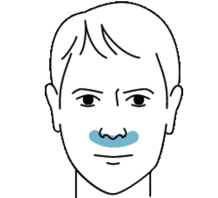 DreamWear Nasal cradle masks